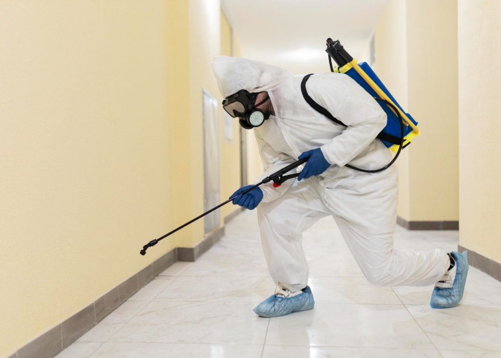 Professional Pest Exterminator in Olathe Kansas