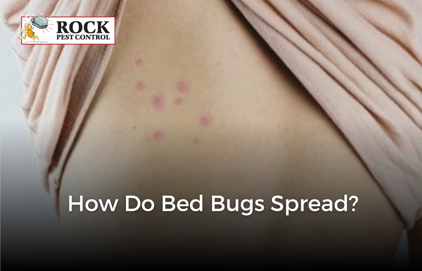 How Do Bed Bugs Spread