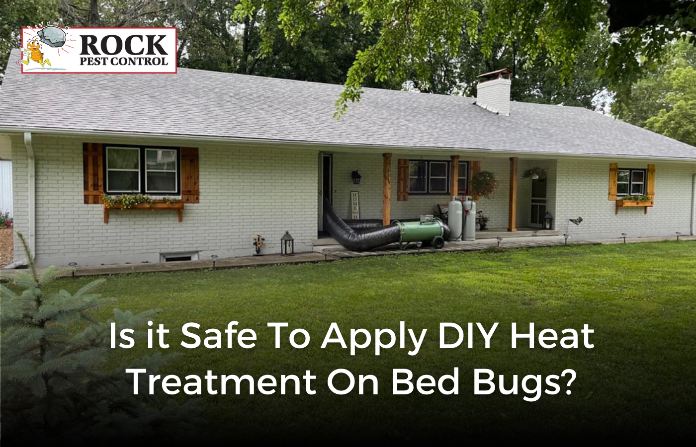 Is It Safe to Apply DIY Heat Treatment to Bed Bugs?