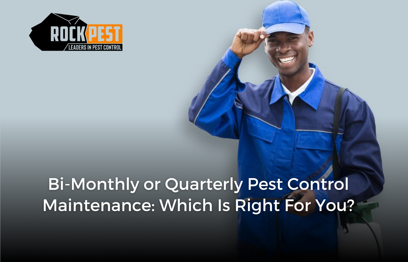 Bi-Monthly or Quarterly Pest Control Maintenance: Which is Right for ...