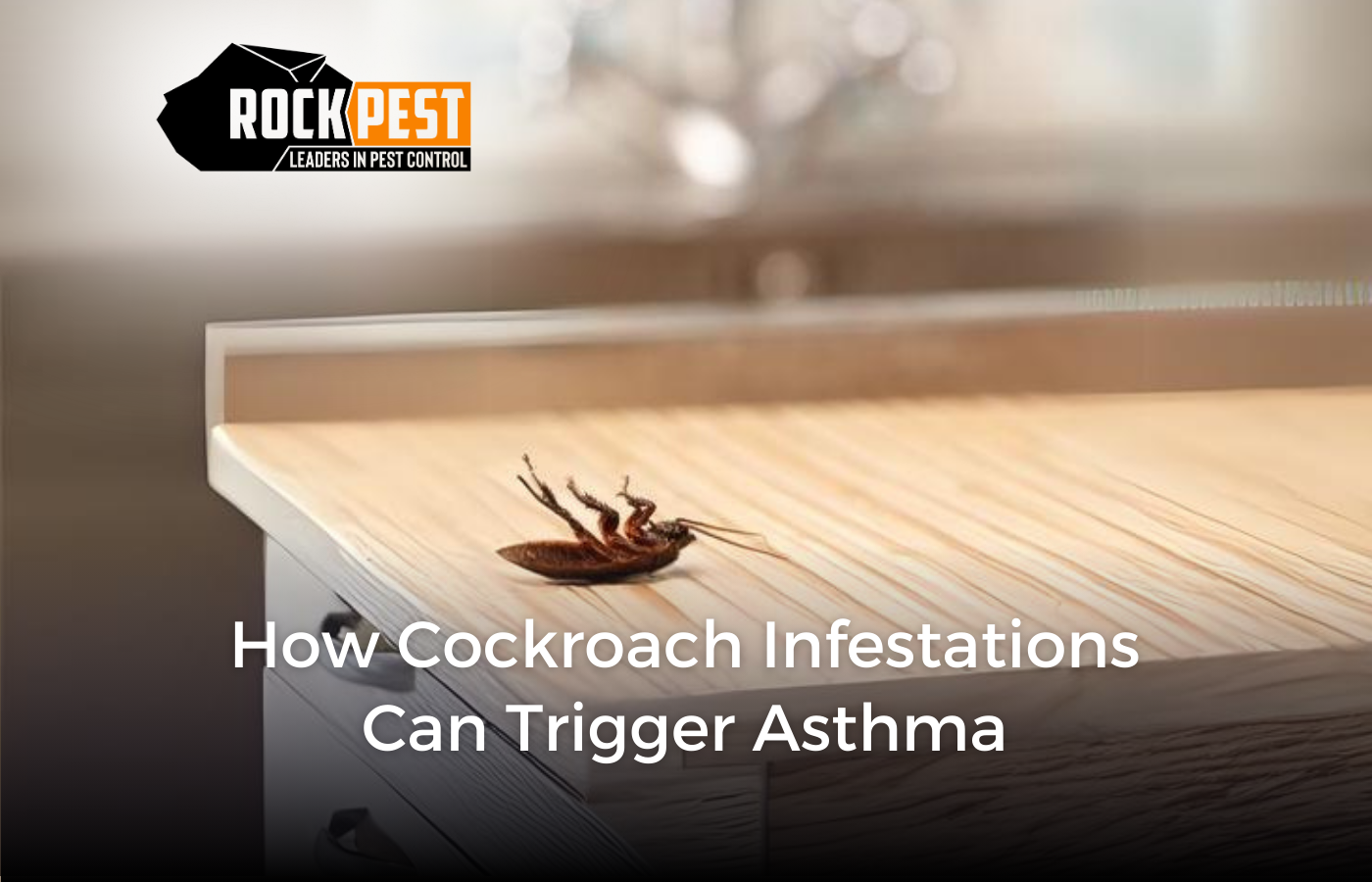 How Cockroach Infestations Can Trigger Asthma