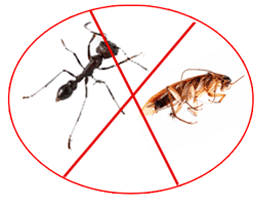 Ant and cockroach graphic with a red prohibition symbol, representing pest control solutions for common summer pests like odorous house ants and German cockroaches in Kansas City.