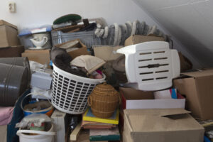 Clutter bed bugs